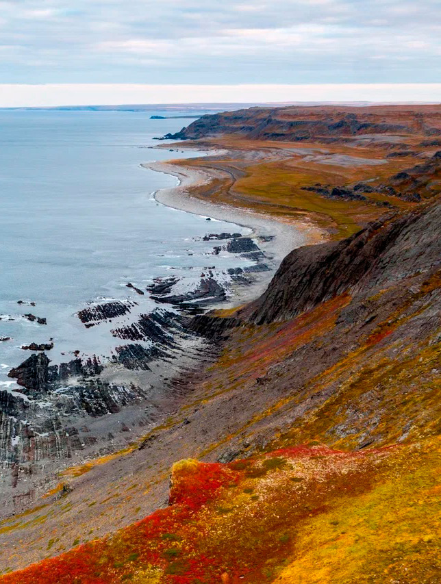 Полуострова Средний и Рыбачий . 