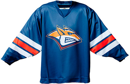 Ледовая арена «Металлург». 