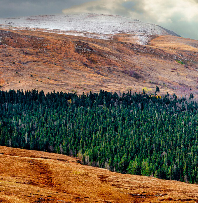 Плато Лаго-Наки. 