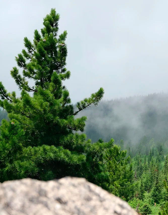 Экотропы Шерегеша. 