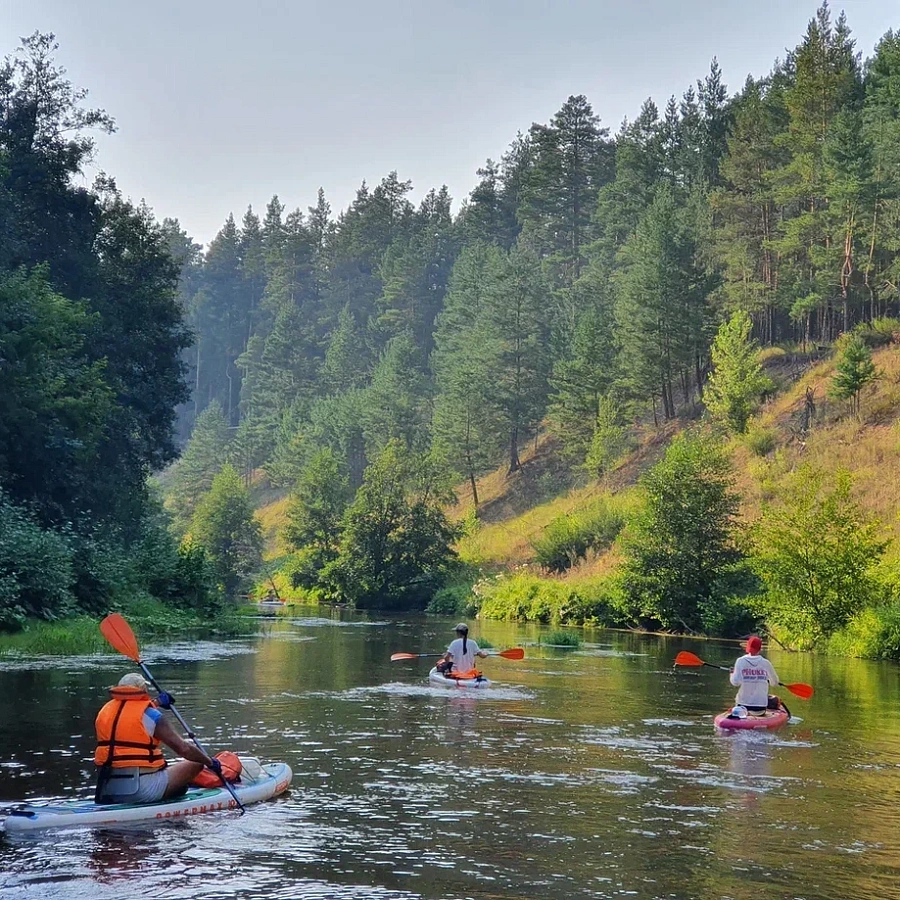Национальный парк «Бузулукский бор» . 
