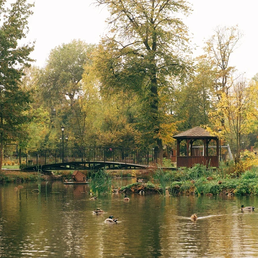 Петровский парк . 