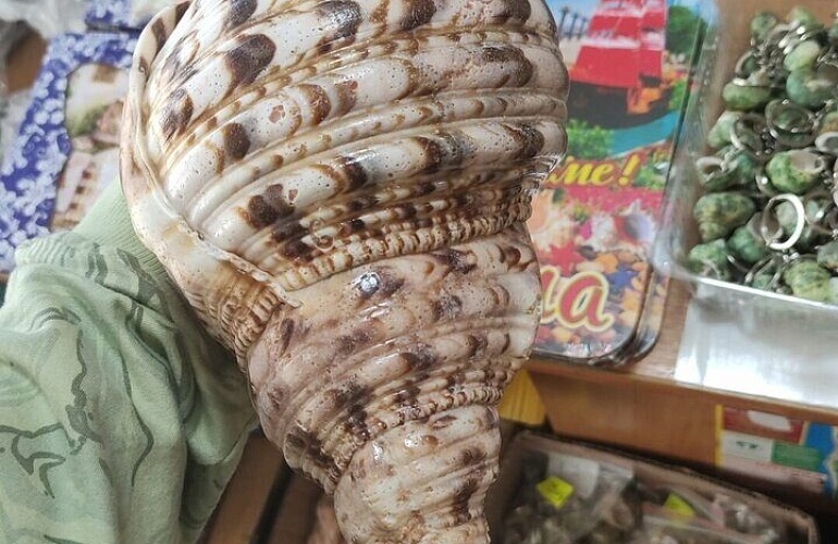 Дары моря. 