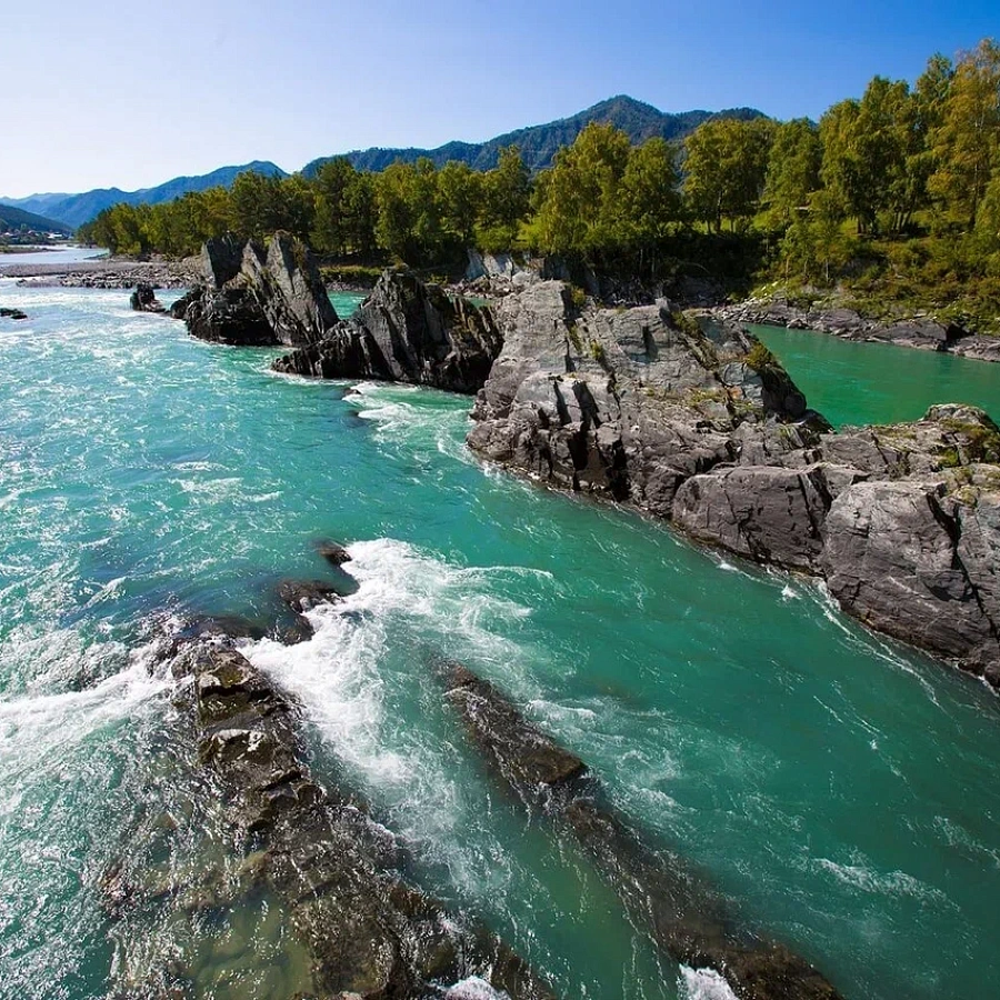 Зубы дракона. 