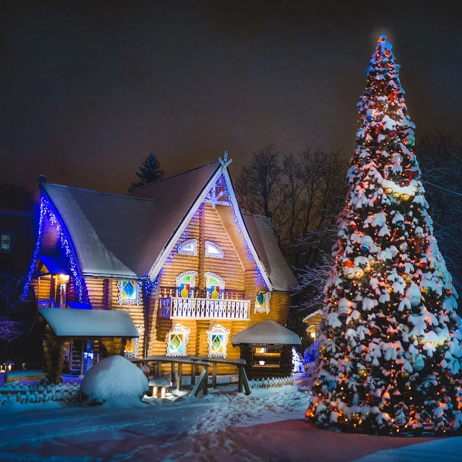Терем Снегурочки. 