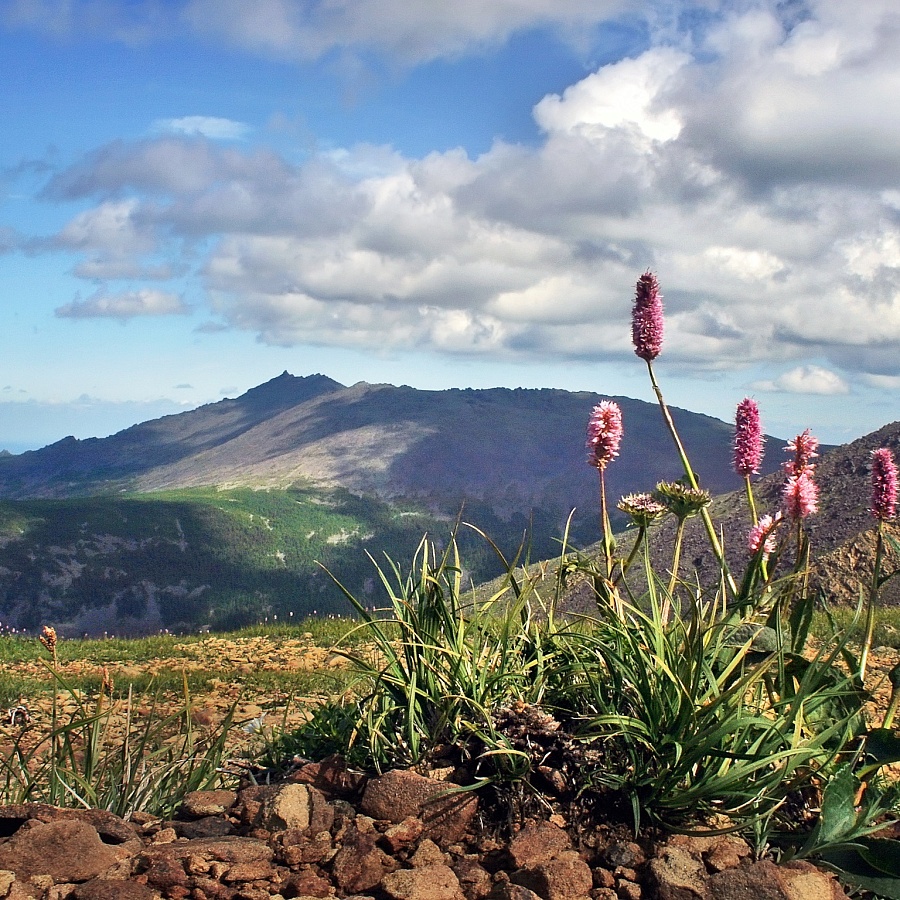 Конжаковский камень . 
