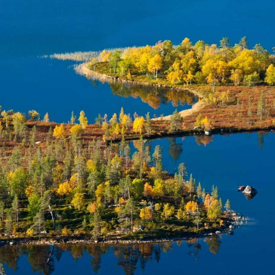 Заповедник Пасвик. 