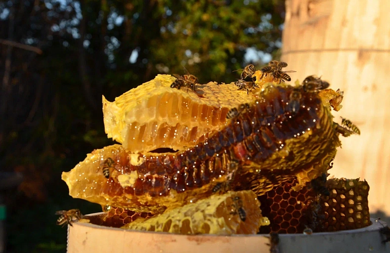 Магазин башкирского мёда и сувениров «Медведь». 