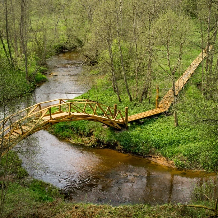 Большая Валдайская тропа. 