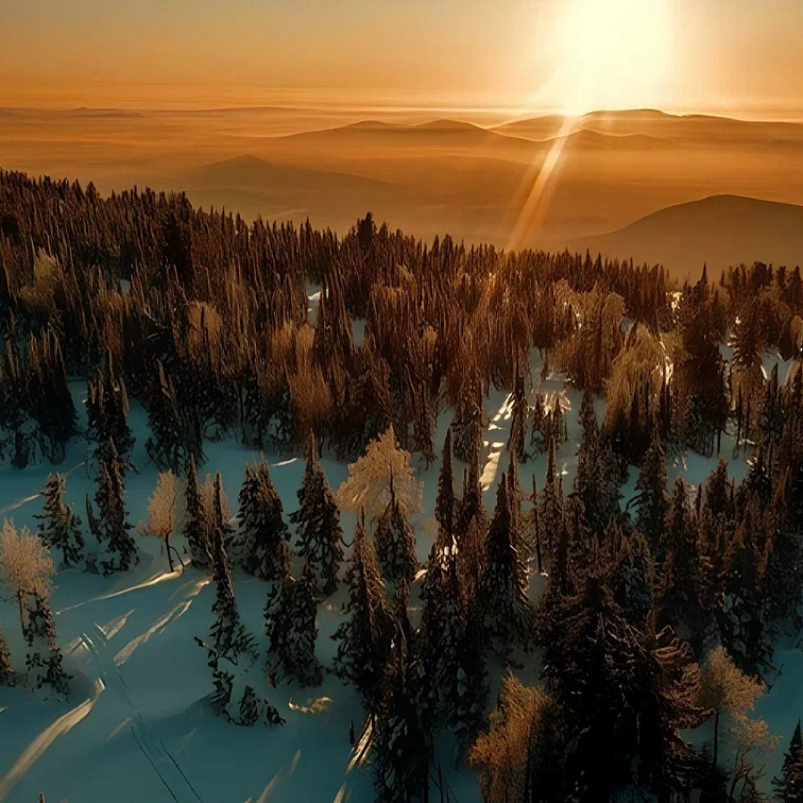 Вертолетная площадка «Shoriya Port» («Шория Порт») . 