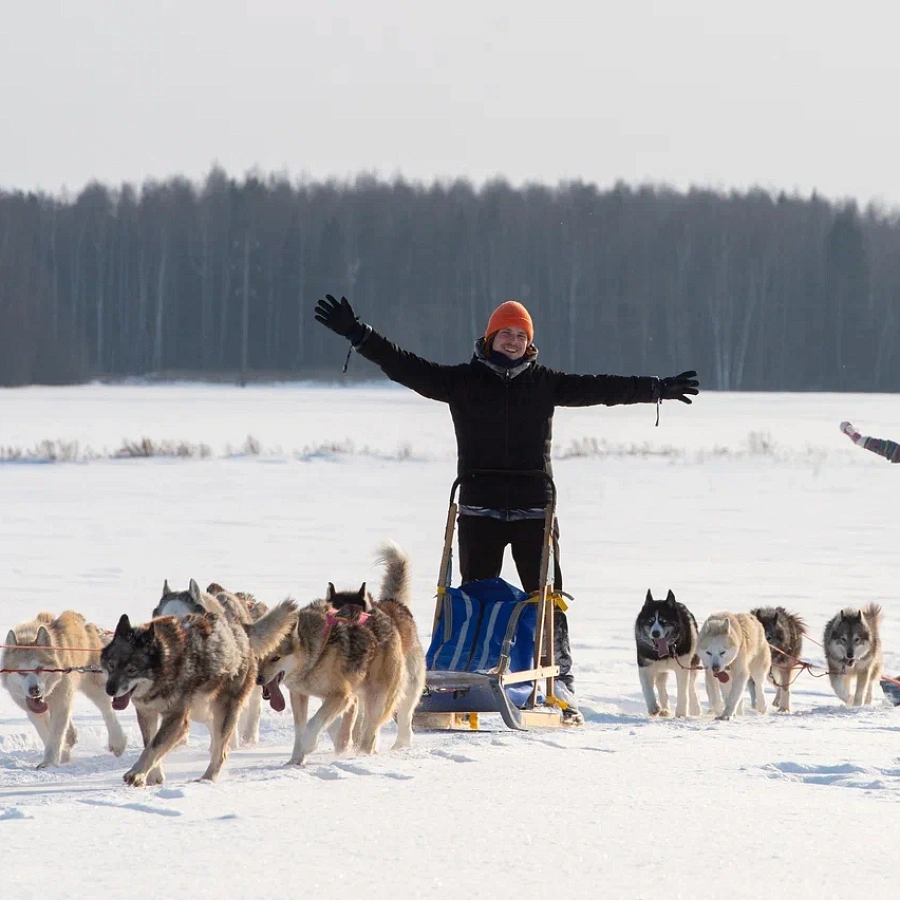 Туристический хаски-центр «Северное сияние». 