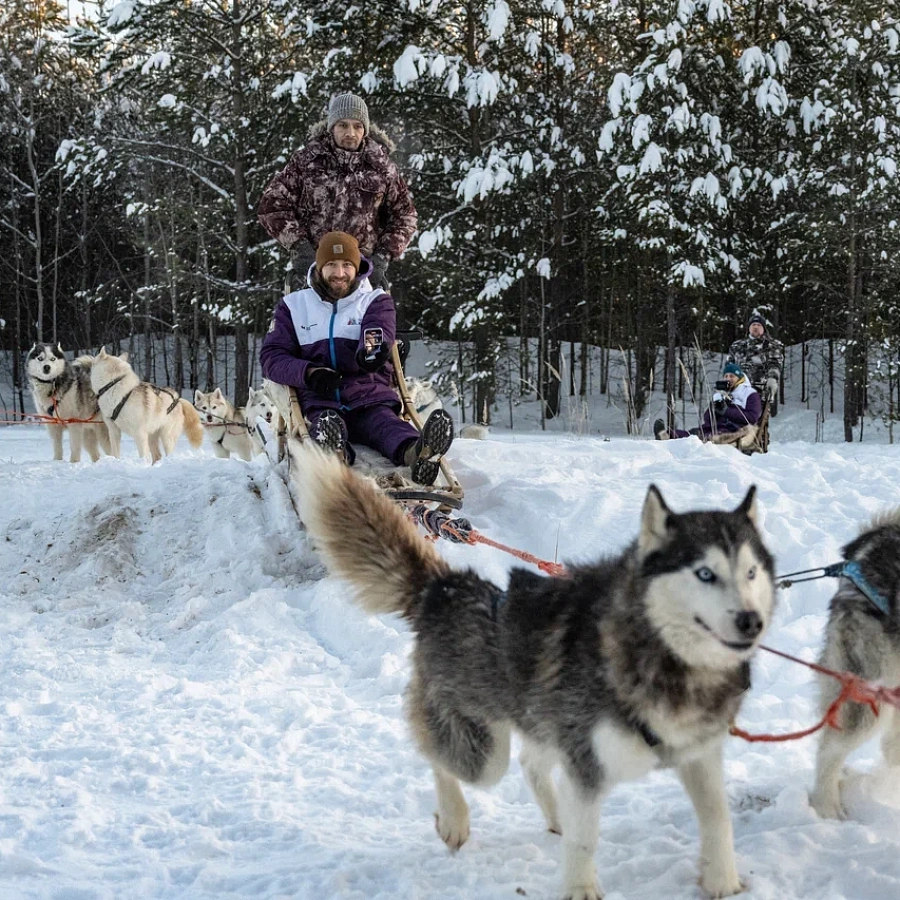 Хаски-центр «Югра». 