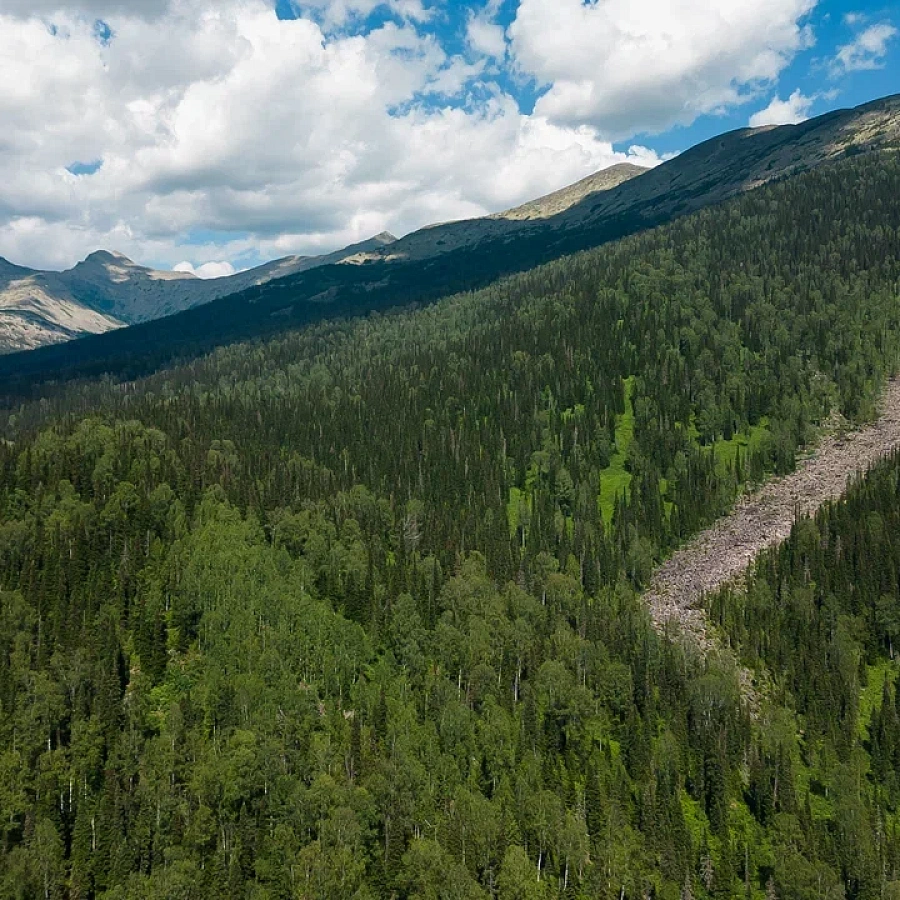 Поднебесные Зубья. 