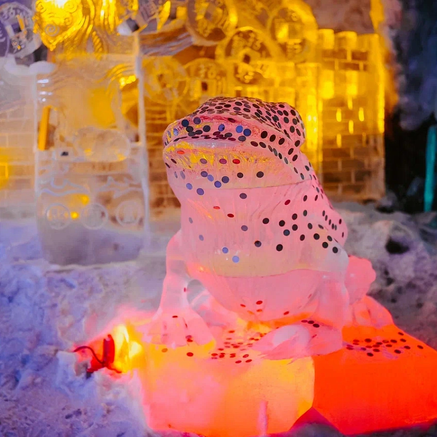 Царство вечной мерзлоты . 