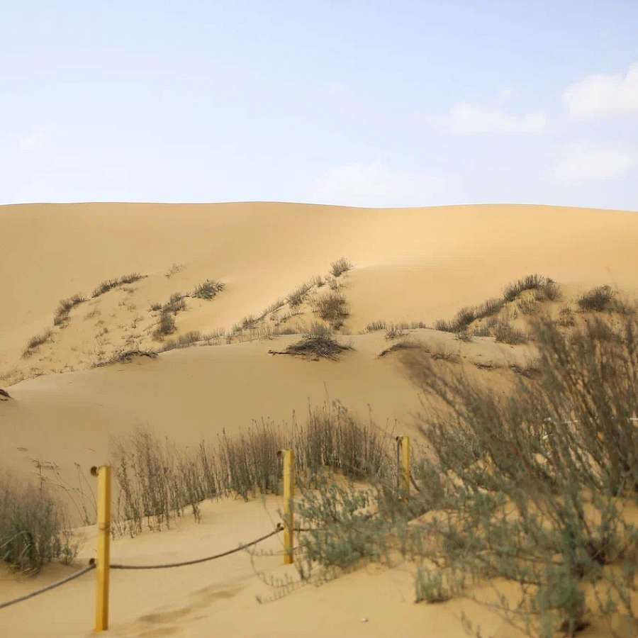 Бархан Сарыкум (дюны). 