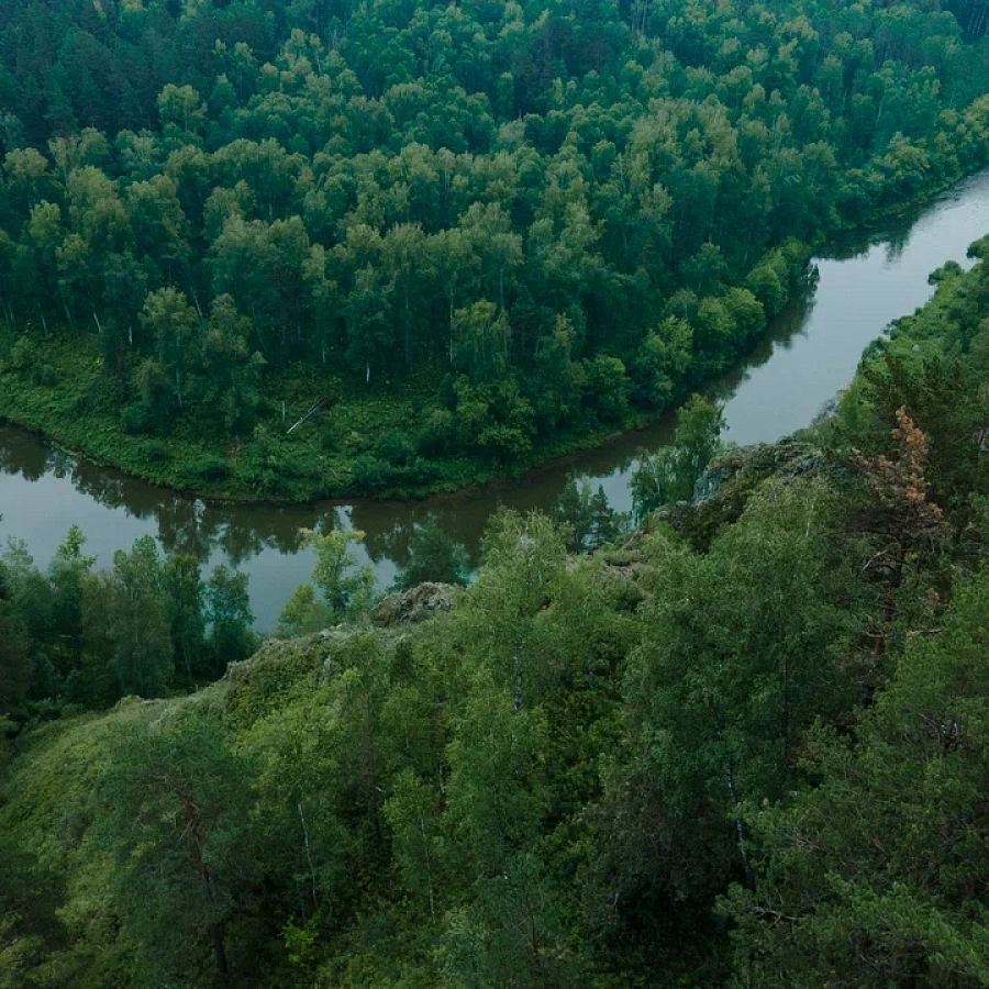 Бердские скалы. 