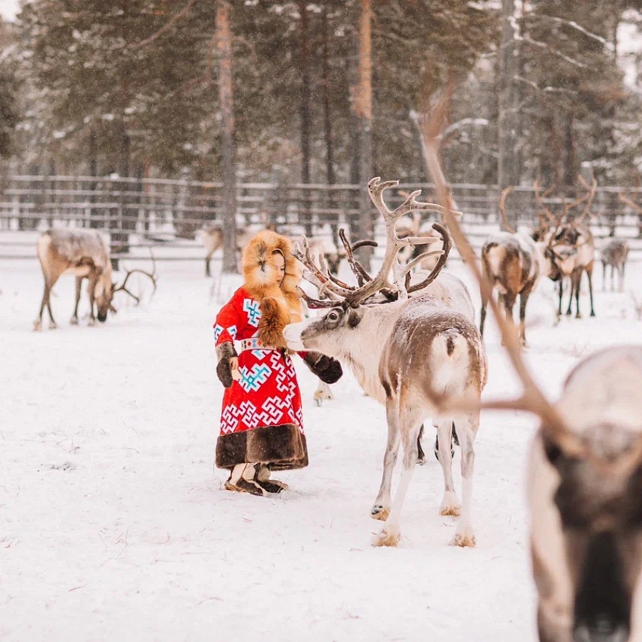 Стойбище Сопочиных. 