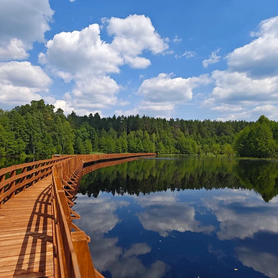Мордовский государственный природный заповедник имени П.Г. Смидовича. 